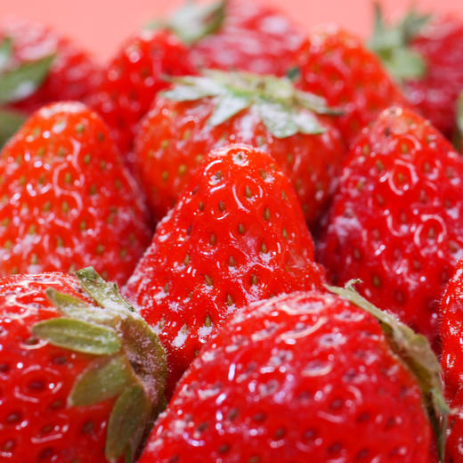 草莓多多蛋糕 商品图2