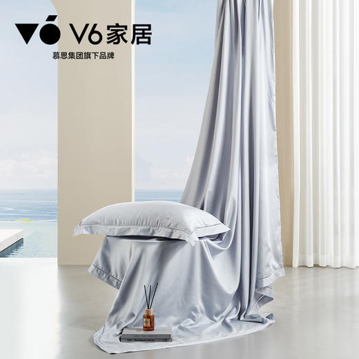 QFZ1-065 玉妆/浅咖色/浅蓝色/床单款四件套 商品图7