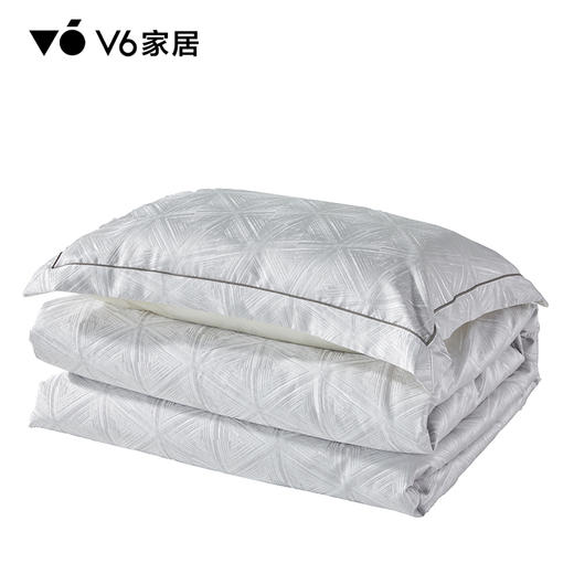 V6家居 QFZ1-043欧丝曼被套款3件套 商品图1