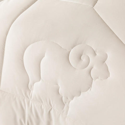 多喜爱 美眠康 暖意绒绒大豆澳毛二合一冬被 商品图1