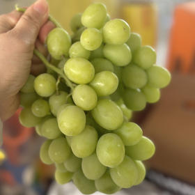 〔上海直发包邮06〕智利青提 / 红提