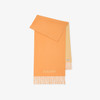 BURBERRY 巴宝莉 女士双面两用马术骑士徽标羊绒围巾 橘色 8098777 C1415 商品缩略图0