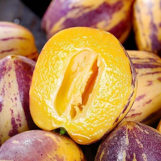 甘肃沙漠人参果 | 5斤大果 细腻多汁 生态种植水果 商品图1