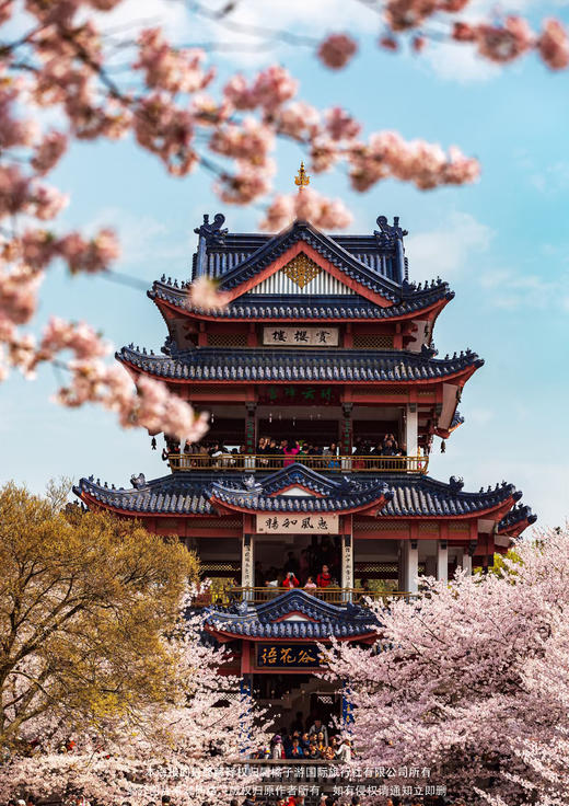 【泊心拈花湾】 华东五市+4大夜景双飞6日游 商品图2