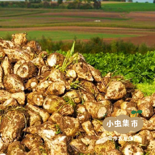 生态山楂零食系列 山楂条/山楂糕 | 合作农友生产，来自北京顺义，生产者：分享收获 *【公平贸易农人定价】 商品图13
