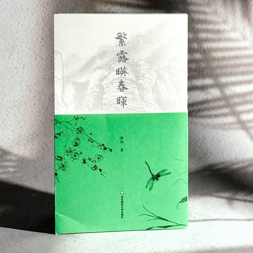 繁露映春晖 斯阳 古体诗 格律诗 词牌 乡愁乡情 商品图3