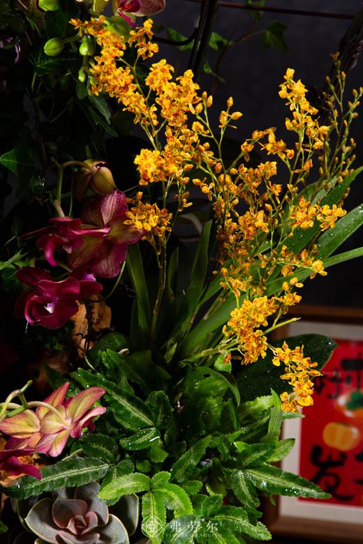 祥蛇兆瑞 商品图1