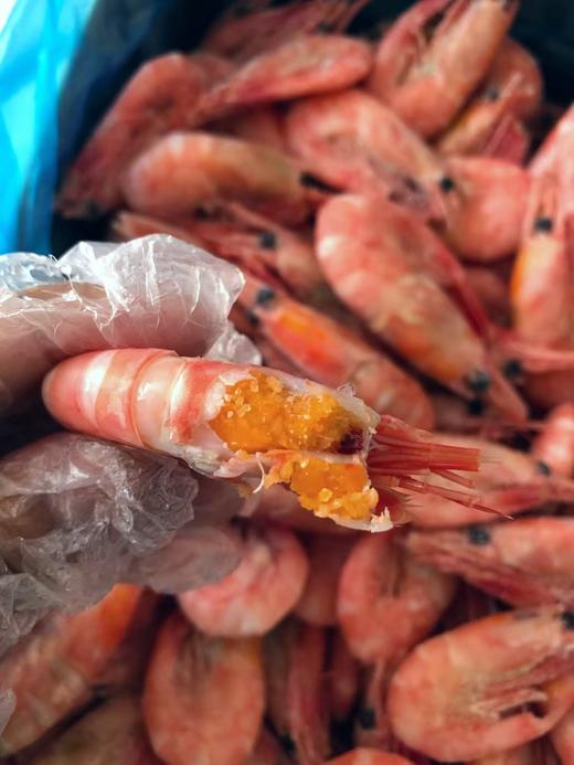 含籽率90%以上！【北极甜虾（头籽）】最新日期 非常整壮 颜色鲜红 京东发货 省内次日达 商品图5
