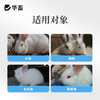 华畜兔子撒窝粉兔用感染幼兔红点掉毛脱毛皮屑养兔子幼兔兔场用品 商品缩略图4