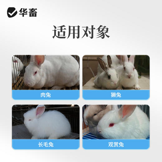 华畜兔子撒窝粉兔用感染幼兔红点掉毛脱毛皮屑养兔子幼兔兔场用品 商品图4