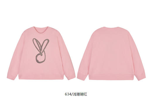 jnby   25年春款  套头卫衣   1P1411660 商品图10