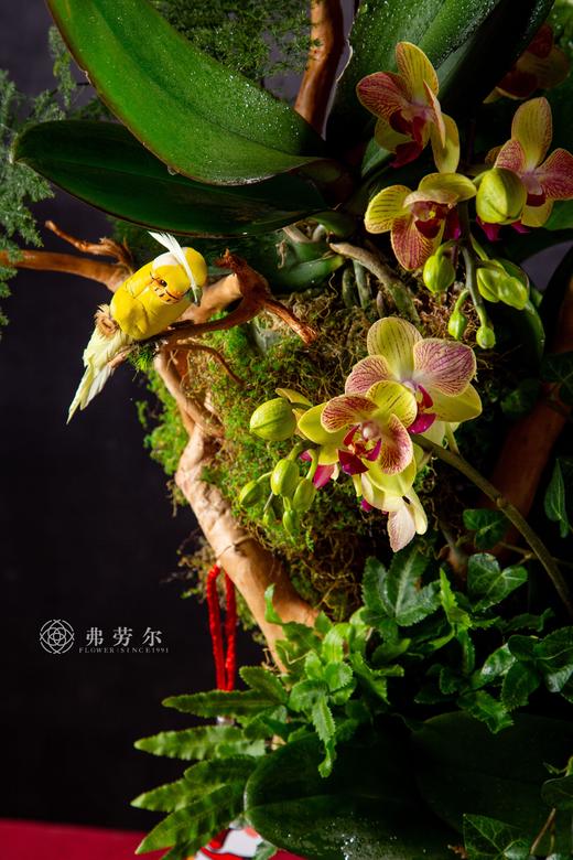 蛇影翻腾 商品图1