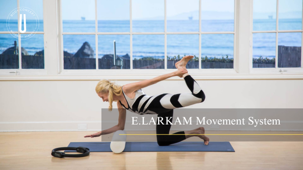 伊丽莎白M1线上复习工作坊