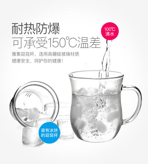 雅集玻璃杯窈窕杯320ml(单杯无盖) 商品图2