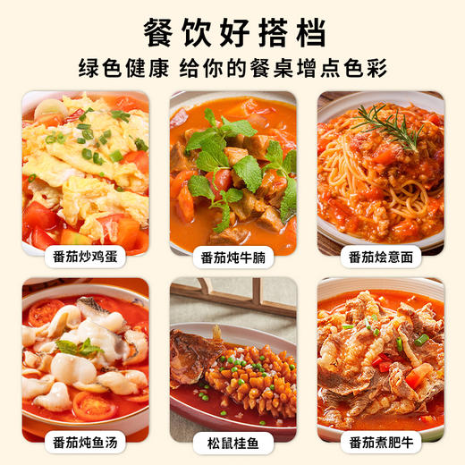 2025笑厨新疆无添加新鲜番茄丁 400g/罐 商品图3