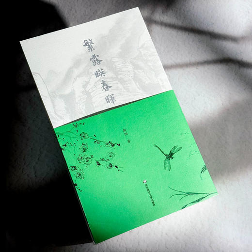 繁露映春晖 斯阳 古体诗 格律诗 词牌 乡愁乡情 商品图4