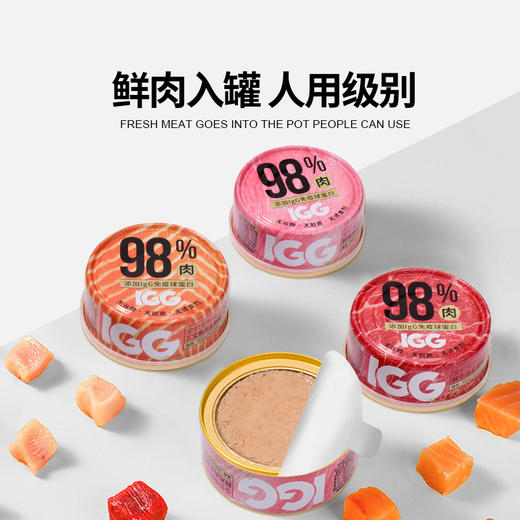 IGG无谷猫罐头 主食罐头幼猫成猫通用猫咪零食罐头 98%含肉量   100g*6罐 商品图2