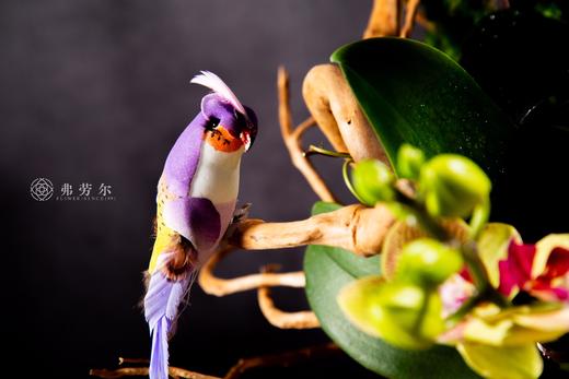 祥蛇兆瑞 商品图4