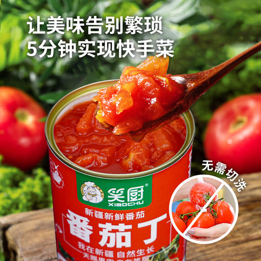 2025笑厨新疆无添加新鲜番茄丁 400g/罐 商品图2