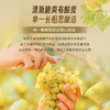 【菲利普·罗斯柴尔德男爵集团出品】智利红盾珍藏长相思白葡萄酒 智利 13%vol 商品缩略图6