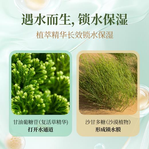 芳研社 | 玫瑰胶原面霜改善干燥保湿滋润多维滋养50g 商品图2