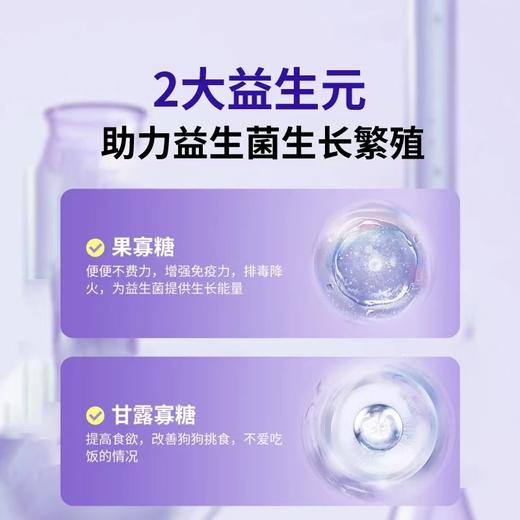 【买就送秘鲁小鱼颗粒*2袋】G6益生菌粉剂(犬用)1g*10袋 商品图4