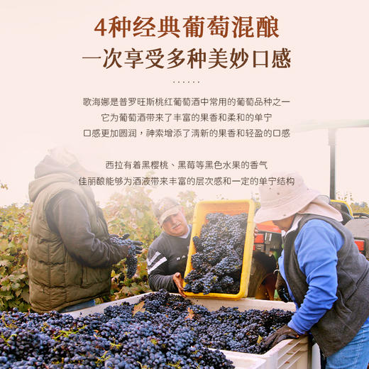 【考维普罗旺斯丘AOP】普罗旺斯丘AOP桃红葡萄酒 法国原瓶进口 12.5%vol 商品图6