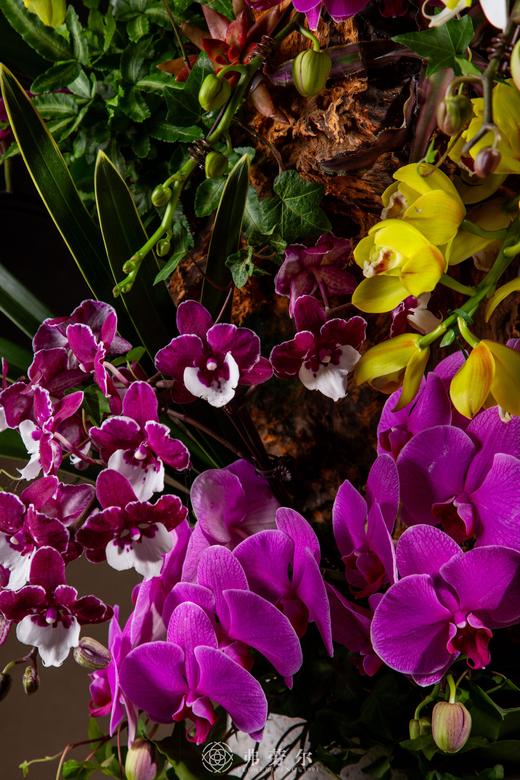 银蛇携福至 商品图3