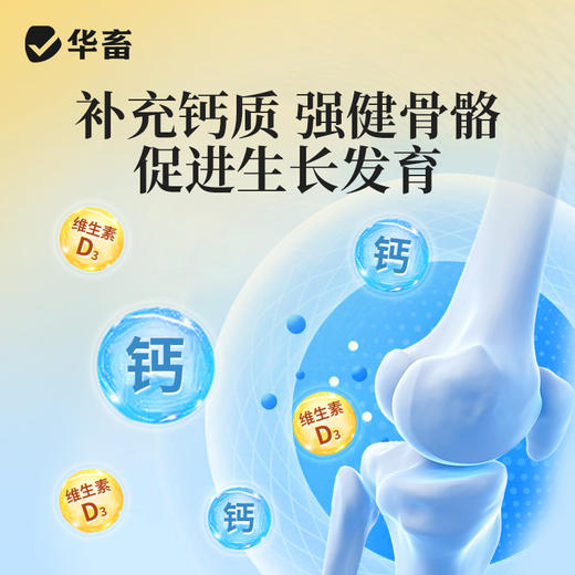 华畜 母狗全能补 成分多营养足 免疫强少生病 补气血奶水足 强骨骼幼犬壮 商品图5