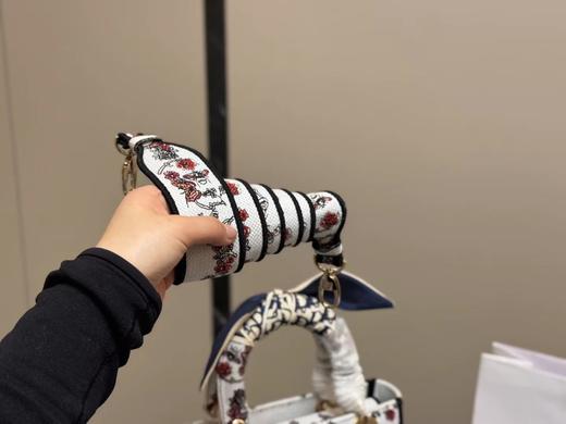 D012133现代休闲且优雅刺绣宽肩带刺绣戴妃包 商品图5