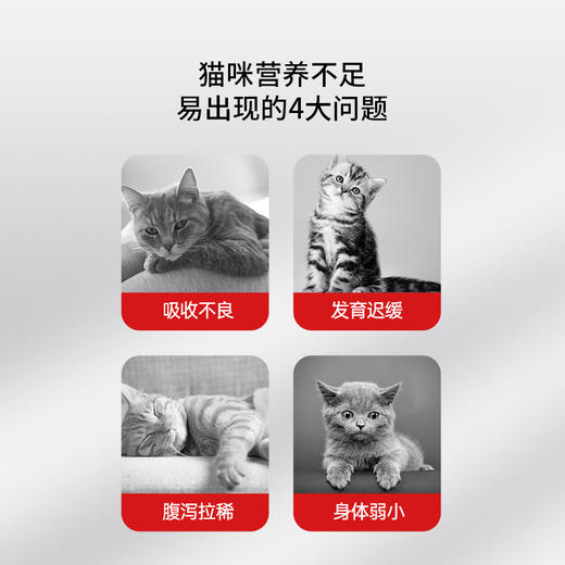 【2罐加送赠品 需要奶瓶下单备注】谷登天然亲护配方羊奶粉（猫用）200g 商品图1