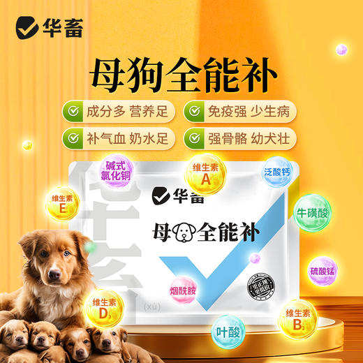 华畜 母狗全能补 成分多营养足 免疫强少生病 补气血奶水足 强骨骼幼犬壮 商品图0