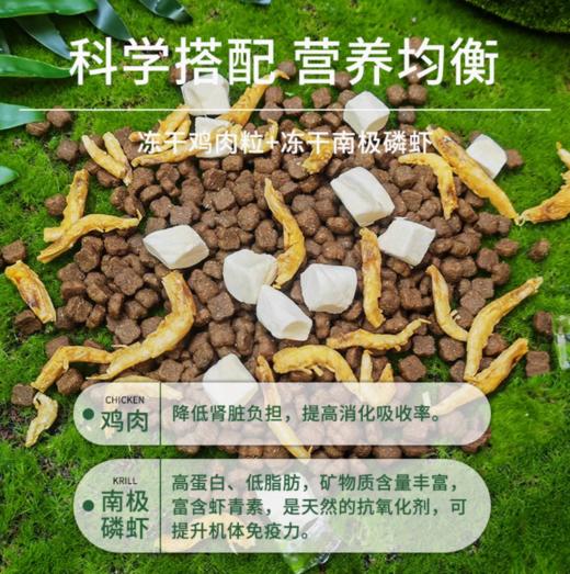 纽派森全价冻干猫粮猫咪主食无谷生鲜肉鸡肉冻干成猫幼猫营养增肥 商品图4