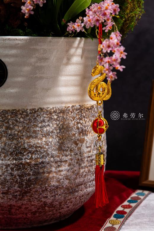 蛇舞添新景 商品图4