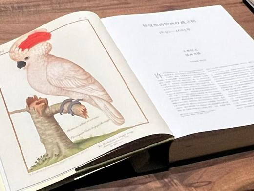 《法国国家自然博物馆犊皮纸博物画：艺术与科学的传世瑰宝》，作者:[法] 帕斯卡莱·厄泰尔/米歇尔·勒努瓦，译者:金小燕，14斤重、633页，大8开，布面精装带函套，华中科技大学出版社2020年1月一版 商品图3