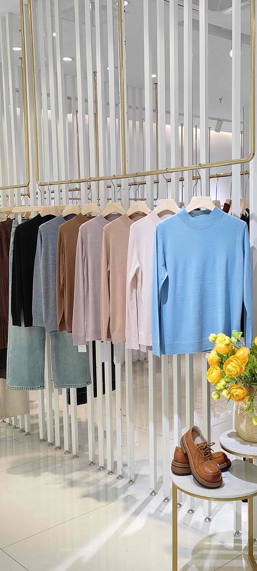 48G168简洁百搭半高48支16针精纺纯羊毛衫 商品图3