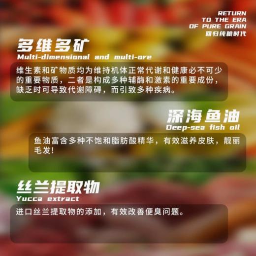 【纽派森】回归系列鸡肉兔肉全价成犬犬粮泰迪柯基小型幼犬比熊 商品图5