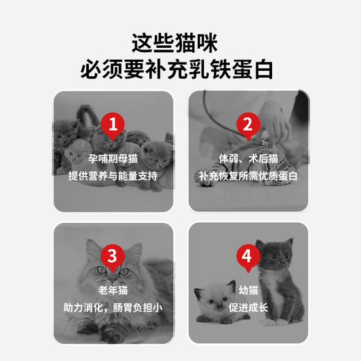 【2罐加送赠品 需要奶瓶下单备注】谷登乳铁蛋白羊奶粉（猫用）300g 商品图4
