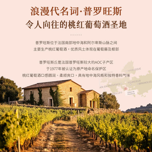 【考维普罗旺斯丘AOP】普罗旺斯丘AOP桃红葡萄酒 法国原瓶进口 12.5%vol 商品图3