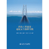 跨海工程建设通航安全保障实践 商品缩略图3
