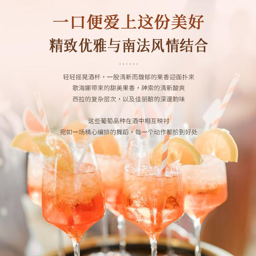 【考维普罗旺斯丘AOP】普罗旺斯丘AOP桃红葡萄酒 法国原瓶进口 12.5%vol 商品图7