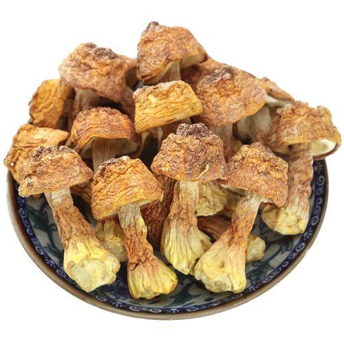 姬松茸 商品图0