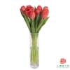 【单瓣郁金香】 臻红 10枝一扎 商品缩略图2