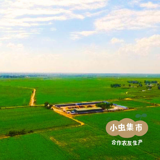 生态山楂零食系列 山楂条/山楂糕 | 合作农友生产，来自北京顺义，生产者：分享收获 *【公平贸易农人定价】 商品图14