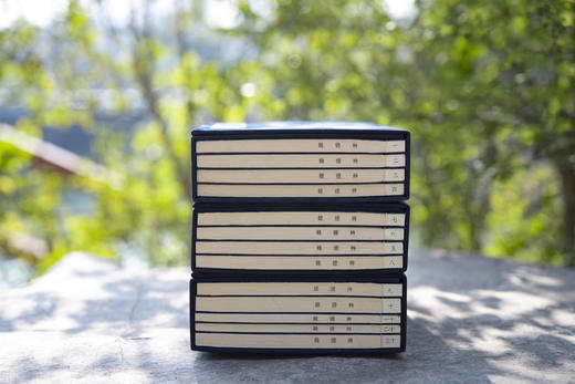 中医古籍善本丛刊之《辨证录》 商品图14