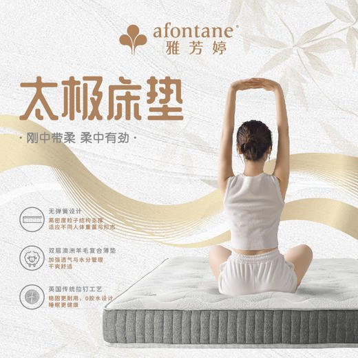 雅芳婷床垫家居床上用品太极床垫LF056 商品图0