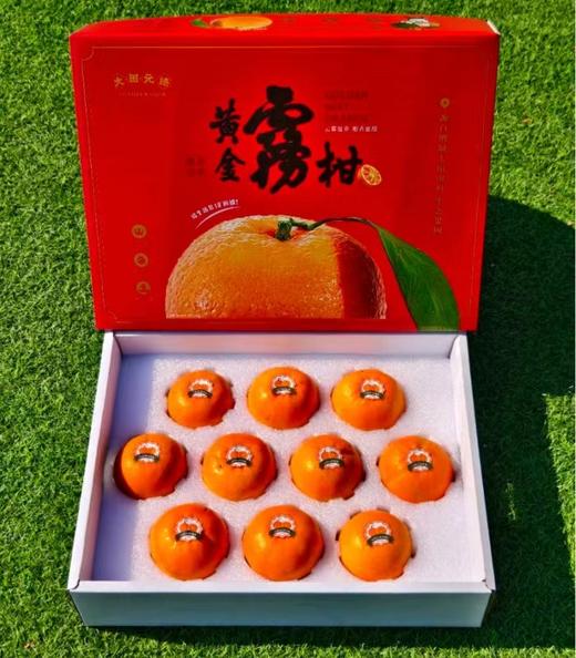 黄金雾柑 商品图1