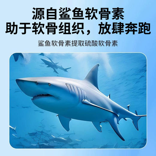 whycat软骨素犬猫通用 商品图3