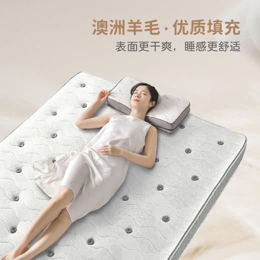 雅芳婷床垫家居床上用品太极床垫LF056 商品图2