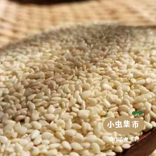 生态小磨芝麻香油 270ml/瓶 | 合作农友生产，产自河南新乡，生产者：谭波、园春 ＆【公平贸易农人定价】 商品图5